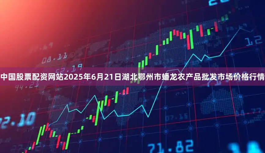 中国股票配资网站2025年6月21日湖北鄂州市蟠龙农产品批发市场价格行情