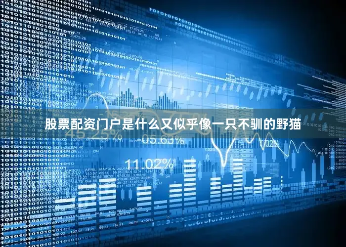 股票配资门户是什么又似乎像一只不驯的野猫